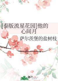 [泰版流星花园]他的心间月