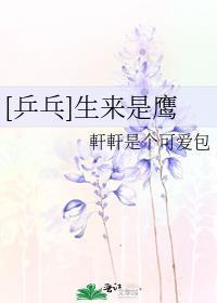 [乒乓]生来是鹰