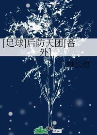 [足球]后防天团[番外]