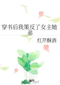 穿书后我策反了女主她弟