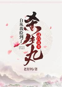 自从我捡到了杀殿这白富美[综]